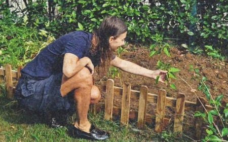 Lüks Partilerden Toprağa: Tuba Ünsal'ın  Temiz Gıda Yolculuğu