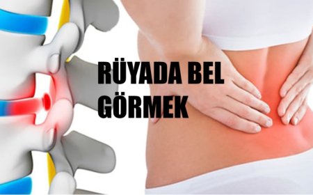 Rüyada Bel Görmek – İmam Cafer Sadık, İbn-i Sîrîn, Kirmanî, Cabir Mağribî ve Diyanet Yorumları