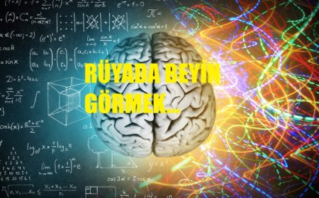Rüyada Beyin Görmek Ne Anlama Gelir? Gizli Mal, Akıl, Zekâ ve Helal-Haram Kazanç Üzerine Derin Tabirler