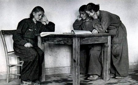 Köy Enstitülerinde Başarı ve Başarısızlık Tartışması: Psikolojinin Söyledikleri