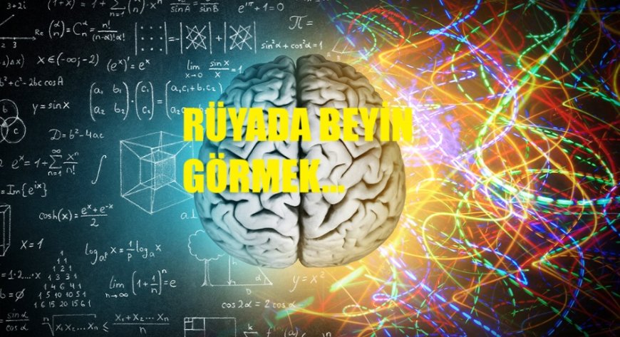 Rüyada Beyin Görmek Ne Anlama Gelir? Gizli Mal, Akıl, Zekâ ve Helal-Haram Kazanç Üzerine Derin Tabirler